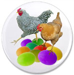 easter chickens with colored eggs at cafepress