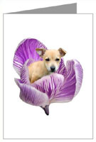 puppy flower card from cafepress