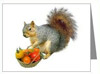 squirrel tshirts,cards and mugs at cafepress