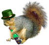 Irish Drinking Squirrel from Cat's Clips