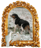 glitter doves custom frames