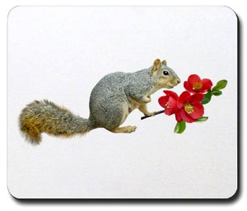 Squirrel with Quince Flowers mousepad