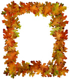 oak leaves