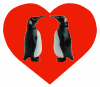 penguin heart