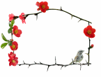 quince sparrow animated spring border
