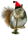 santa squirrel playing a horn from catsclips.com