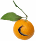 100 animated gifs