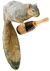 squirrel images and products