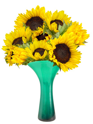 sunflowers in vase