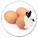 bunny in eggshells easter stickers at zazzle