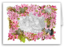 squirrel crabapple flowers photocard at zazzle