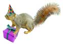 squirrel in party hat with gift