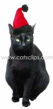 black cat santa animated GIF