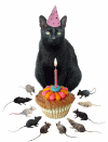 black cat birthday