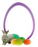 bunny with eggs frame