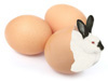 bunny in eggshells