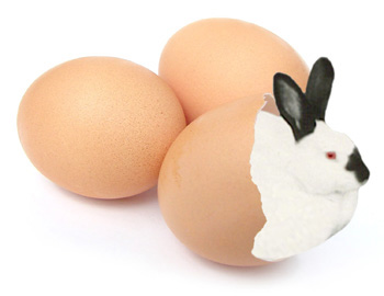 bunny in eggshells