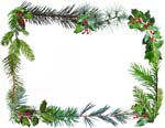 conifer ring border