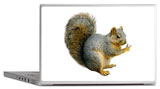 peace squirrel laptop skin
