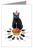 black cat birthday card at cafepress