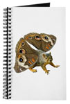 butterfly squirrel journal