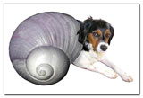shell dog postcards