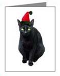 black cat santa card at cafepress