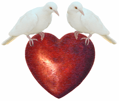 doves heart