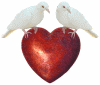 Doves on red heart animated gif from www.catclips.com.
