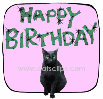 glitter birthday cat ecard
