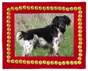 frame a photo in Word