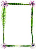 horsetail flower border