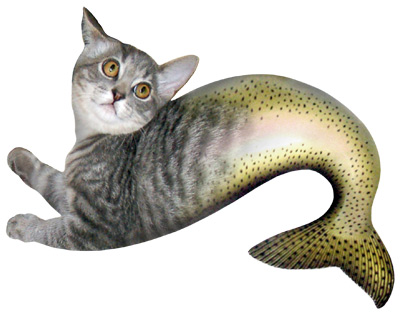 Mermaid Cat
