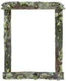 lichen boards border