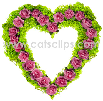 lichen rose heart