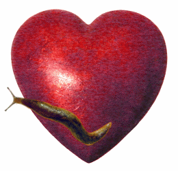 love slug heart animated GIF