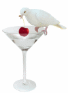martini dove