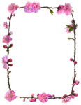 Peach Blossoms border from www.catsclips.com