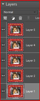 layers in photoshop elements