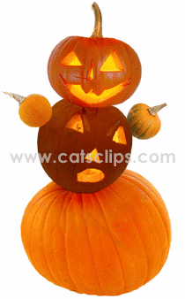 pumpkin lady animated gif