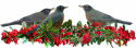 Robins in Berries animated Gif from catsclips.com.