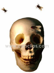 skull with flies animated gif