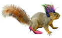 squirrel dress-up