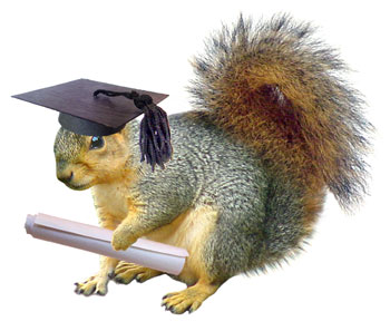 squirrel graduation