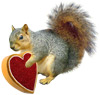 squirrel valentine