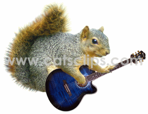 squirrel with blue guitar
