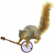squirrel with banjo