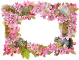 squirrel flower ring
