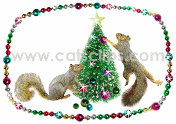squirrels decorating a Christmas Tree 