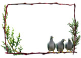 twig pigeons border